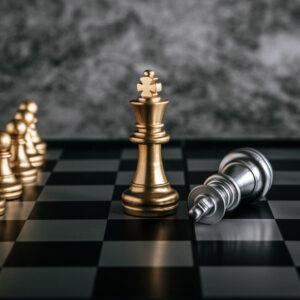 Elite Chess Program