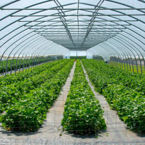 Cultivation & Farming